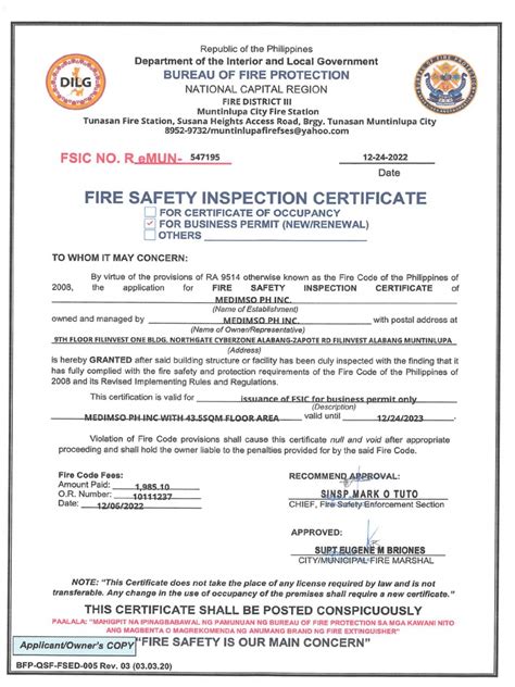 fsic meaning bfp|EXECUTIVE SUMMARY A. INTRODUCTION .